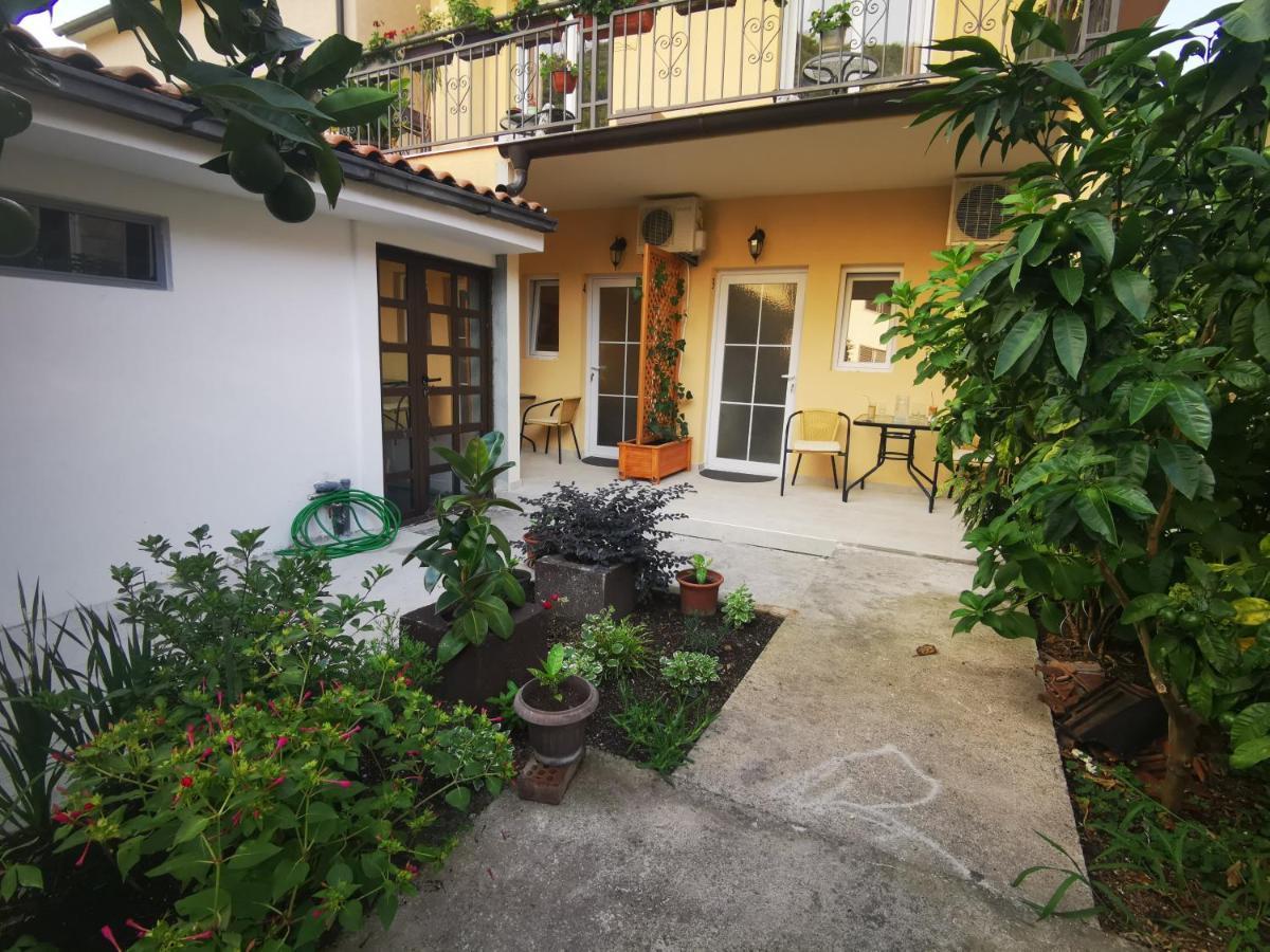Radovic Apartments Budva Extérieur photo